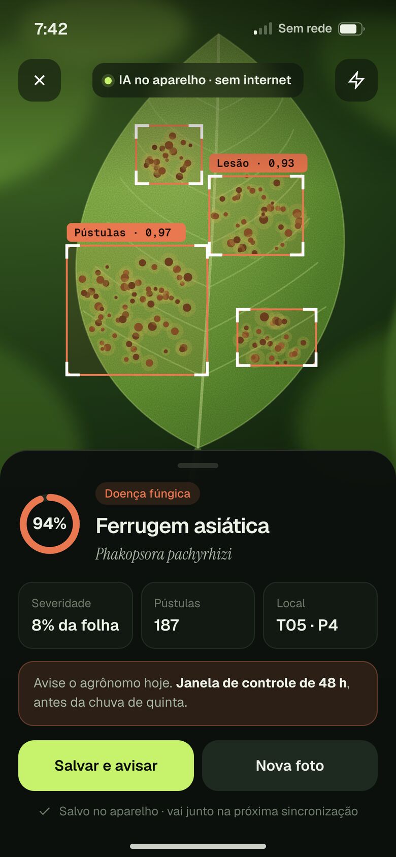 Foto de praga com diagnóstico da IA no app de campo offline